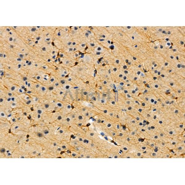 Валидация Affinity DF10216 - 5784