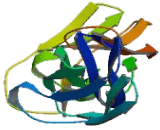 Vascular Cell Adhesion Molecule 1 (VCAM1) Vascular Cell Adhesion Molecule 1 (VCAM1)