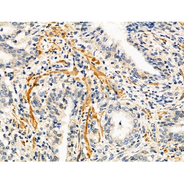 Валидация Affinity DF6137 - 17367