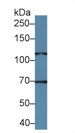 10360