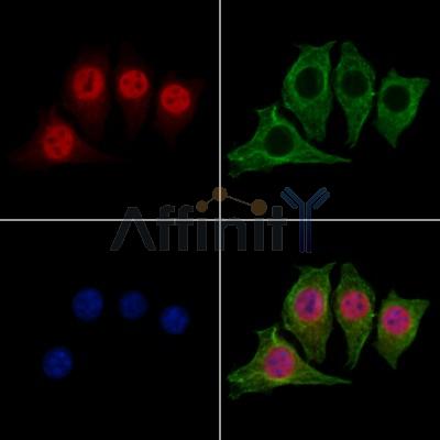 Валидация Affinity DF13360 - 8583