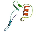 Olfactory Receptor 2T33 (OR2T33) Olfactory Receptor 2T33 (OR2T33)