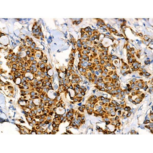 Валидация Affinity DF4058 - 15326