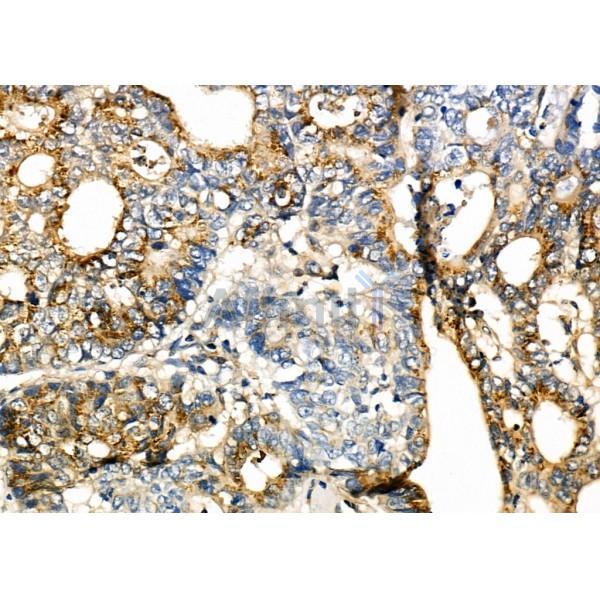 Валидация Affinity DF7991 - 19819