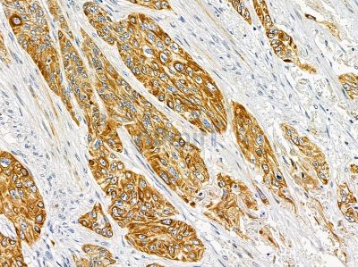 Валидация Affinity DF8308 - 20160