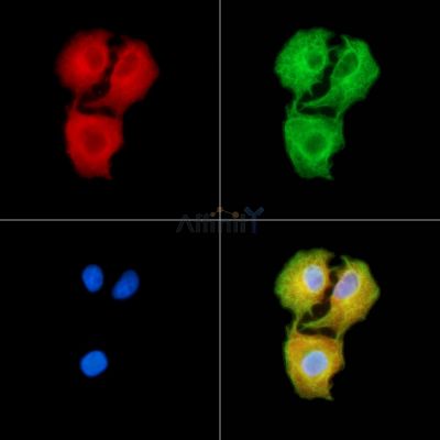 Валидация Affinity DF13816 - 9501