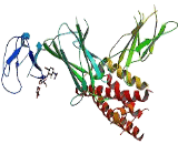 Interleukin 12A (IL12A) Interleukin 12A (IL12A)