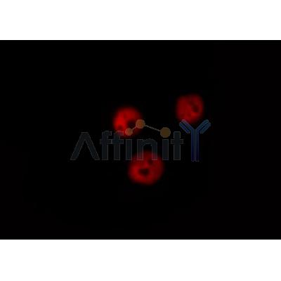 Валидация Affinity AF6056 - 3259