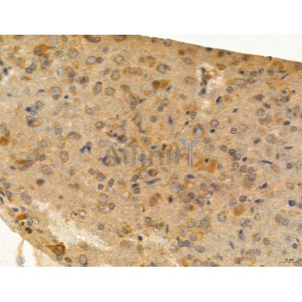 Валидация Affinity DF8106 - 19951