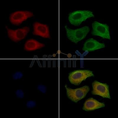 Валидация Affinity AF7749 - 4452