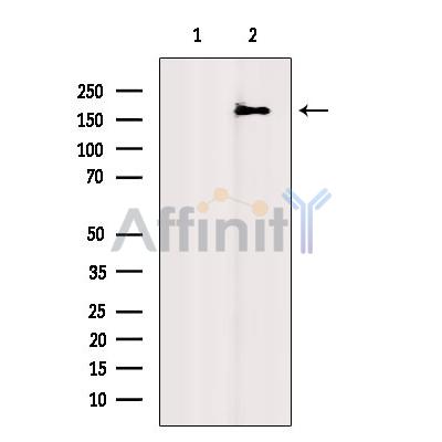 Валидация Affinity AF9053 - 4799