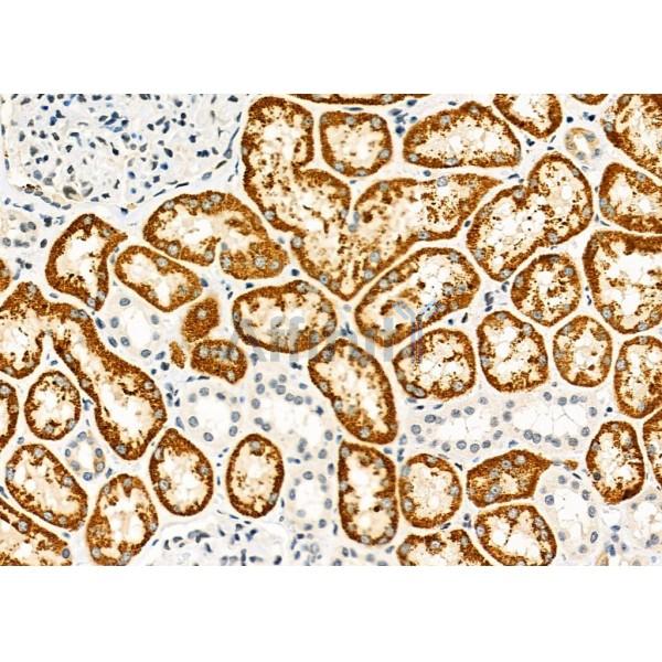 Валидация Affinity DF6601 - 18050