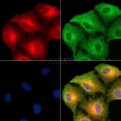 Валидация Affinity DF13850 - 9558