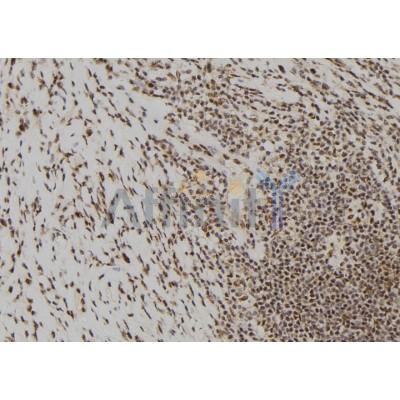 Валидация Affinity DF7228 - 18882