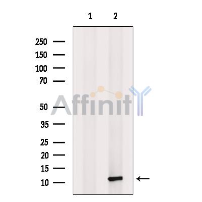 Валидация Affinity DF9911 - 22886