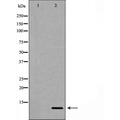 Валидация Affinity AF5352 - 2952
