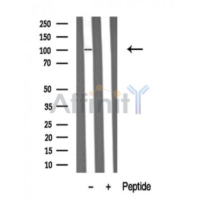 Валидация Affinity DF10324 - 5945
