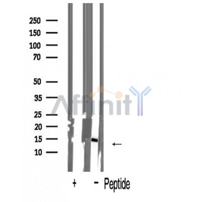 Валидация Affinity AF5484 - 3161
