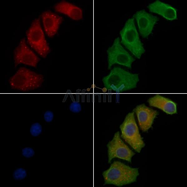 Валидация Affinity AF9162 - 4968