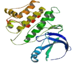Bruton"S Tyrosine Kinase (Btk)