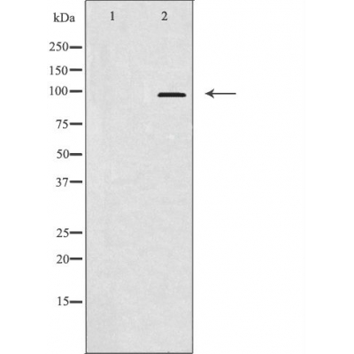 Валидация Affinity DF3459 - 14368