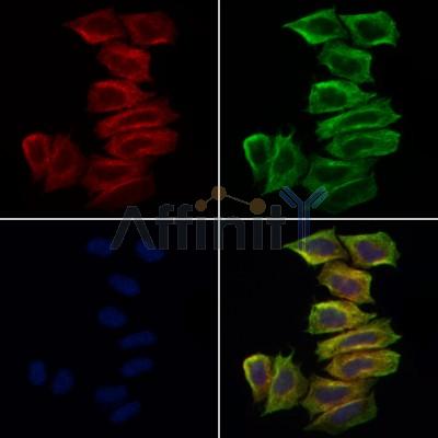 Валидация Affinity DF6279 - 17584