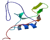 Protein Kinase, Interferon Inducible Double Stranded RNA Dependent Inhibitor, Repressor Of (PRKRIR)
