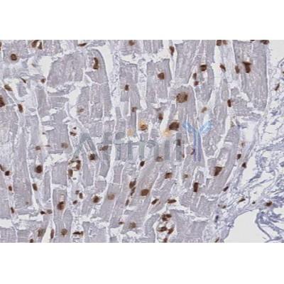 Валидация Affinity AF5266 - 2781