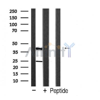 Валидация Affinity AF5373 - 2994