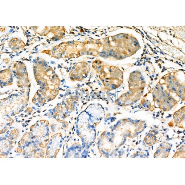 Валидация Affinity DF6724 - 18252