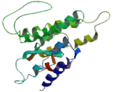 G Protein Coupled Receptor 50 (GPR50) G Protein Coupled Receptor 50 (GPR50)