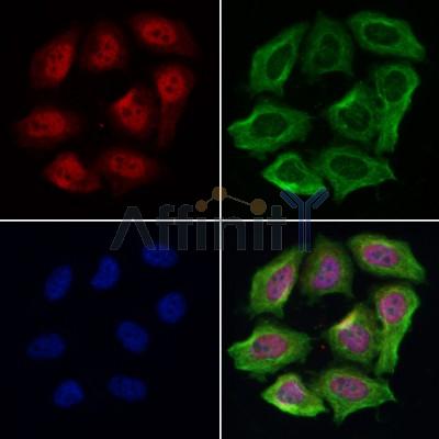 Валидация Affinity DF6726 - 18257