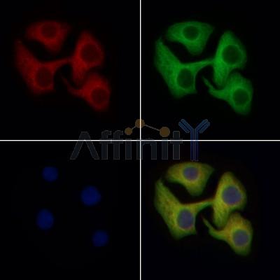 Валидация Affinity DF6682 - 18176