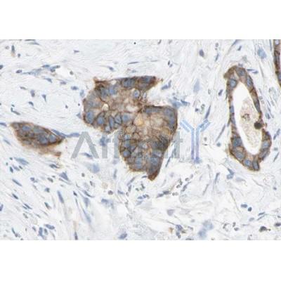 Валидация Affinity AF5213 - 2676