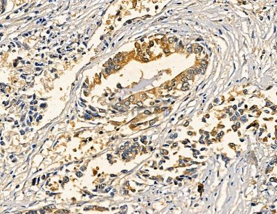 Валидация Affinity DF14337 - 10239