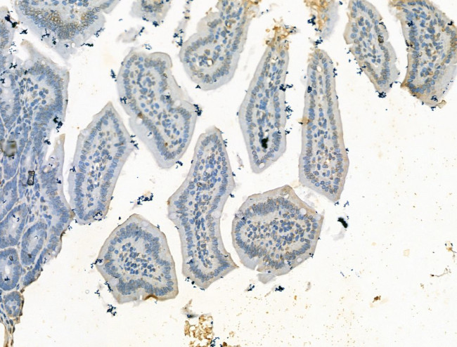 Валидация AssayVector ARM1266(696)