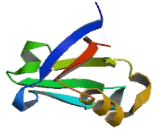 Tyrosine Kinase Activator Protein 1 (TKA1)