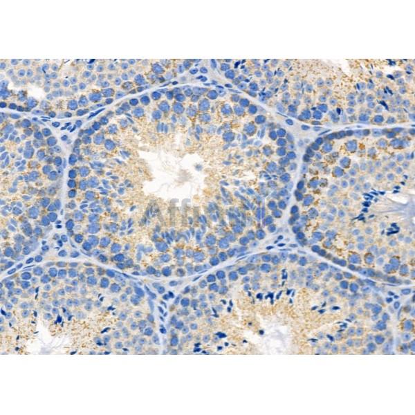 Валидация Affinity DF8525 - 20400