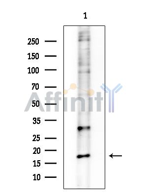 Валидация Affinity AF3823 - 2047