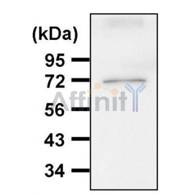 Валидация Affinity AF5187 - 2623
