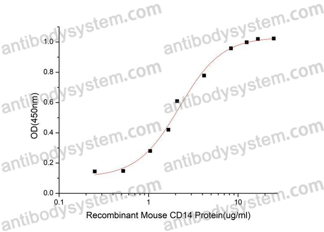 Валидация активности AntibodySystem AMC33701