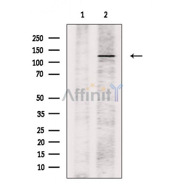 Валидация Affinity DF7601 - 19371