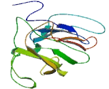 Annexin II Receptor (AX2R) Annexin II Receptor (AX2R)