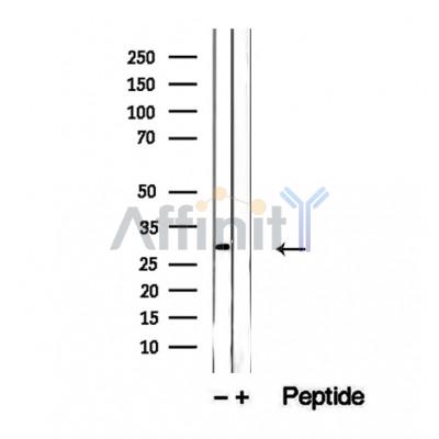 Валидация Affinity DF12394 - 6874