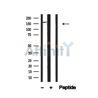 Валидация Affinity AF4721 - 2338