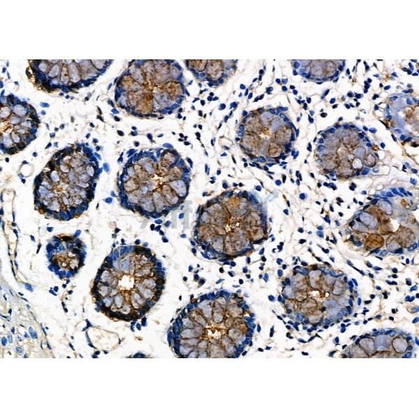 Валидация Affinity DF7870 - 19689