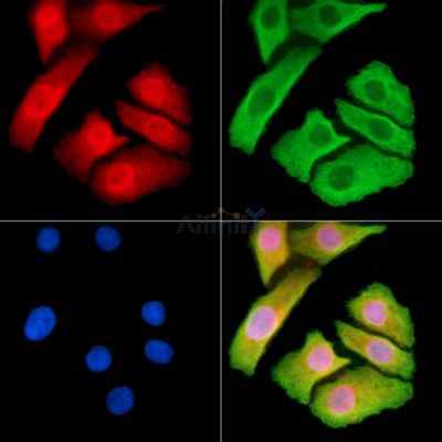 Валидация Affinity DF14196 - 10023