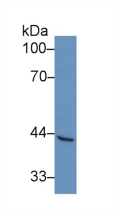 9197