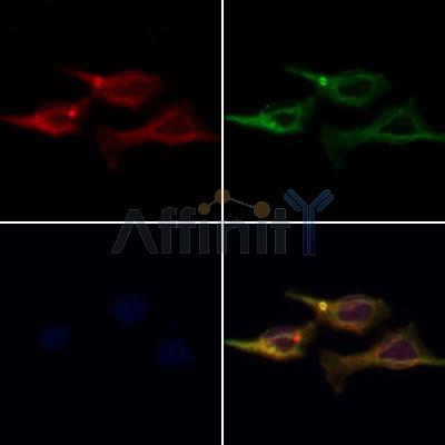 Валидация Affinity DF12826 - 7540