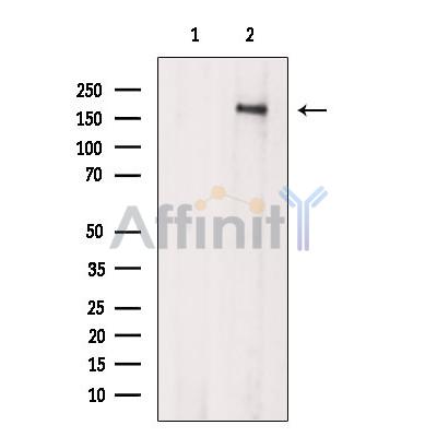 Валидация Affinity AF6334 - 3606